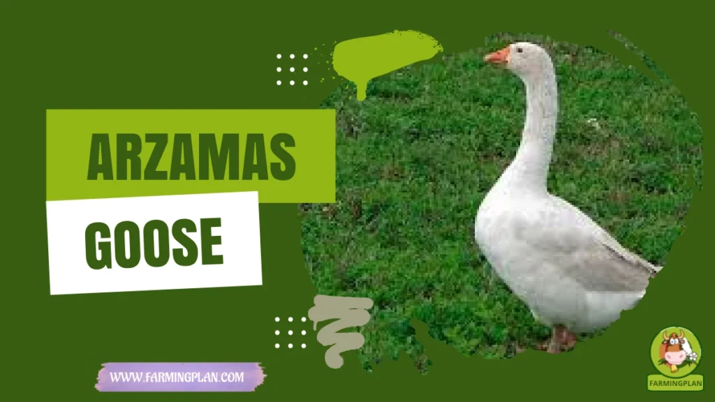 Arzamas Goose