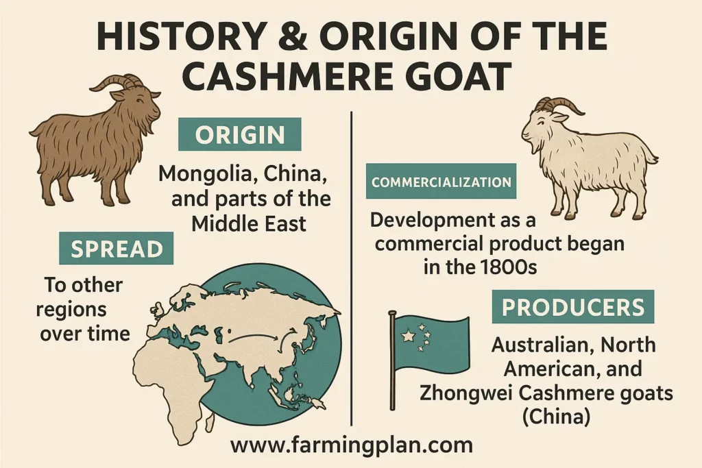 History & Origin of the Cashmere Goat