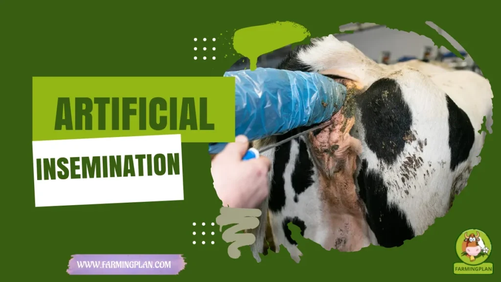 artificial insemination