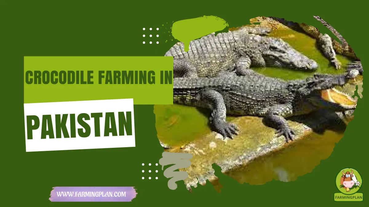 crocodile farming in pakistan