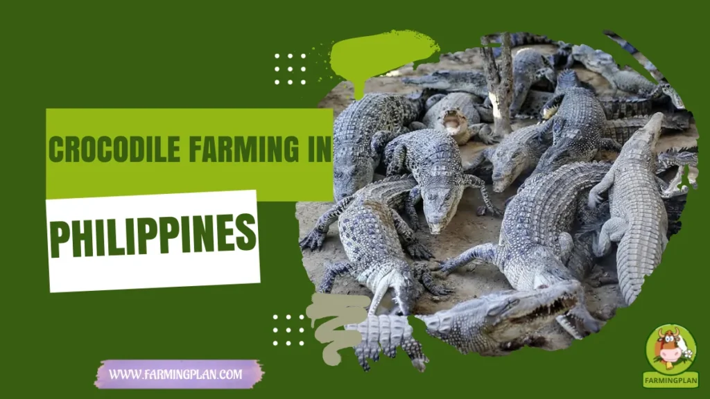 crocodile farming in philippines