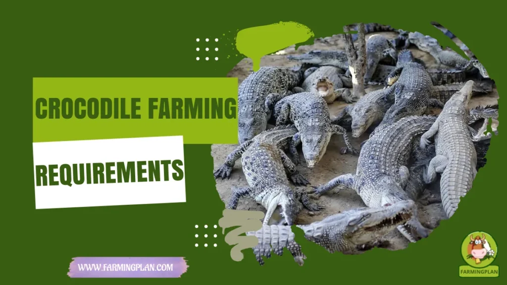 crocodile farming requirements