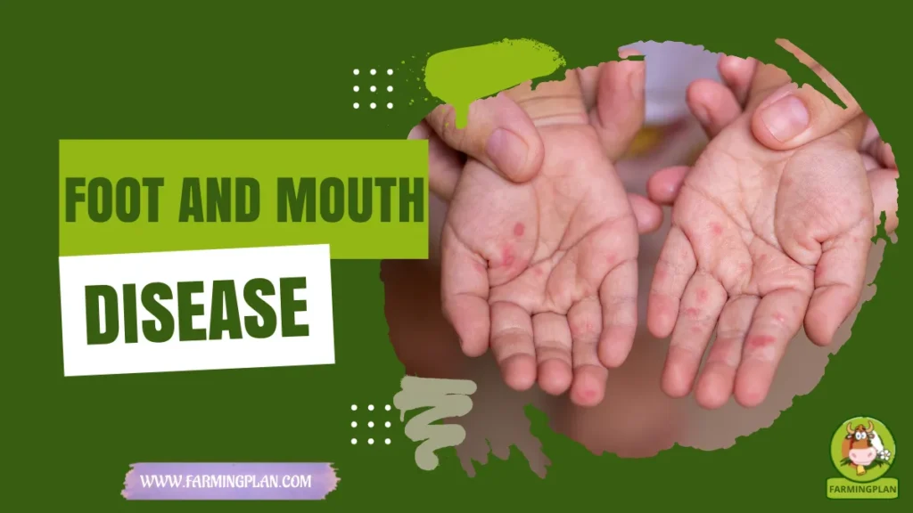 foot and mouth disease