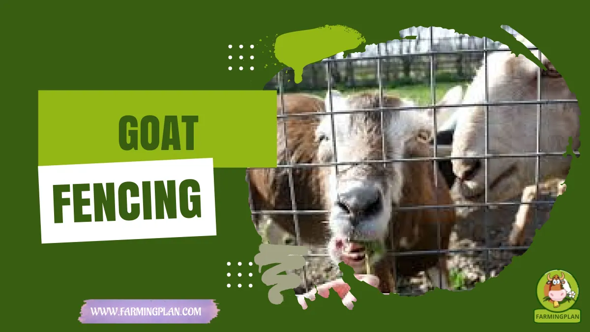 goat fencing