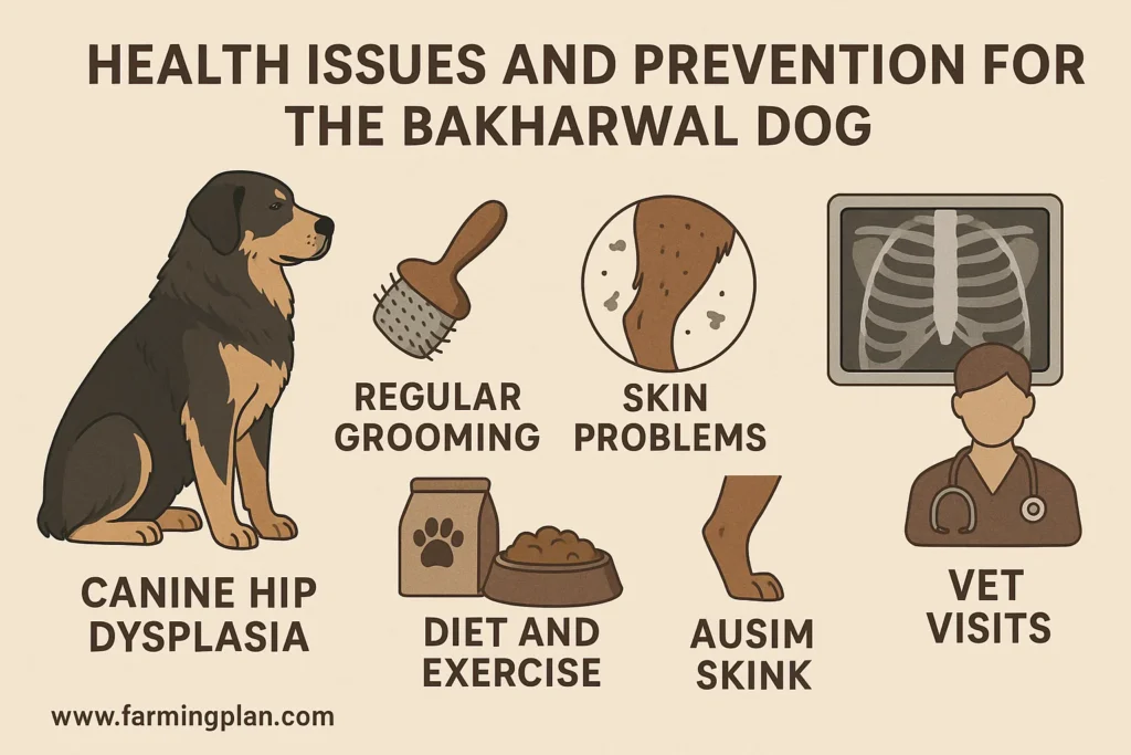 health issues and prevention for the bakharwal dog