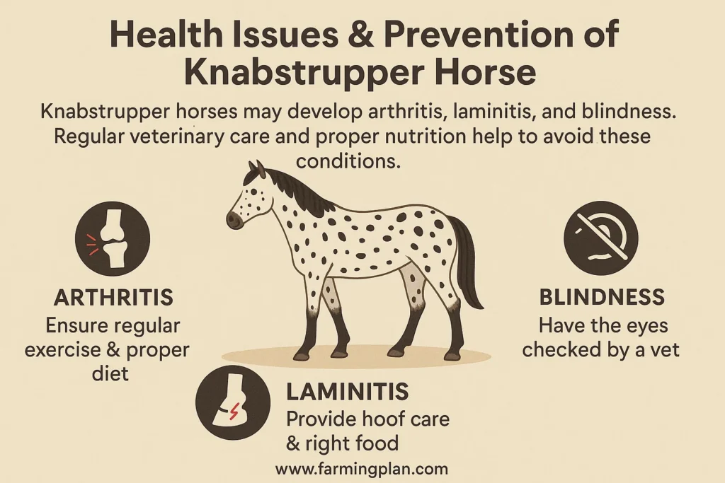 health issues & prevention of knabstrupper horse