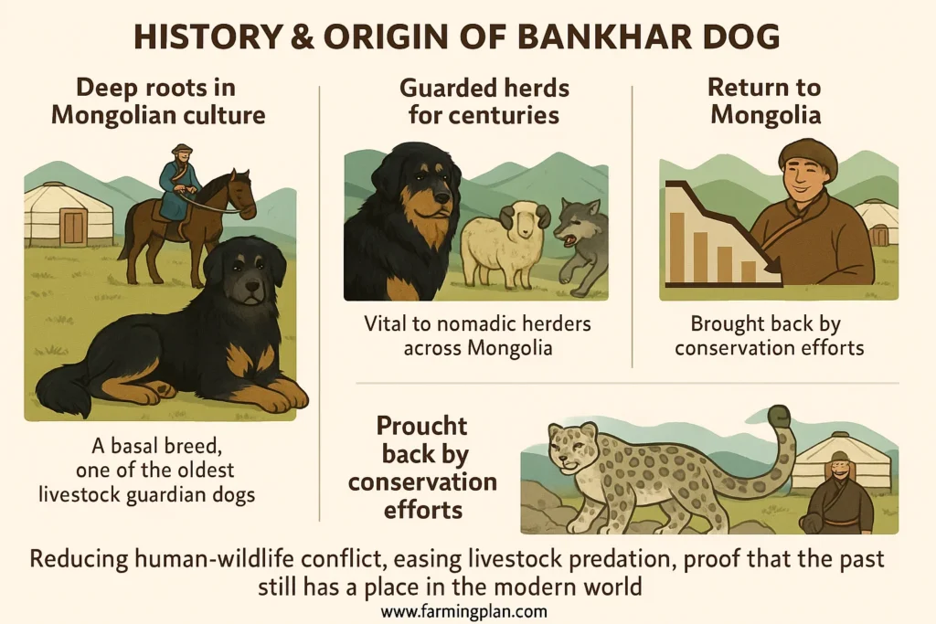 history & origin of bankhar dog