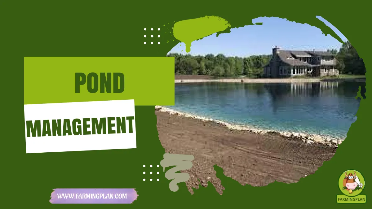 pond management