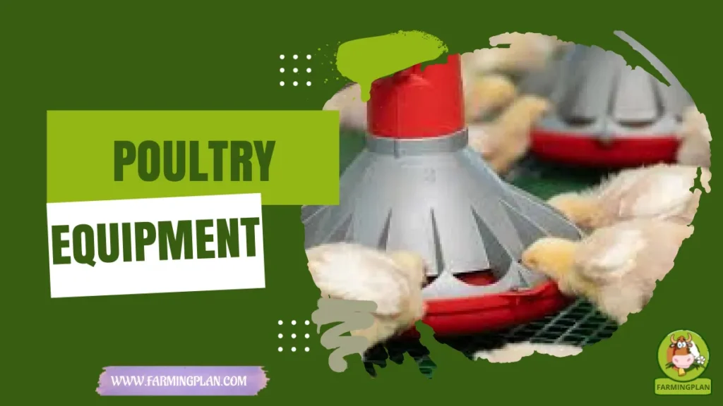 poultry equipment