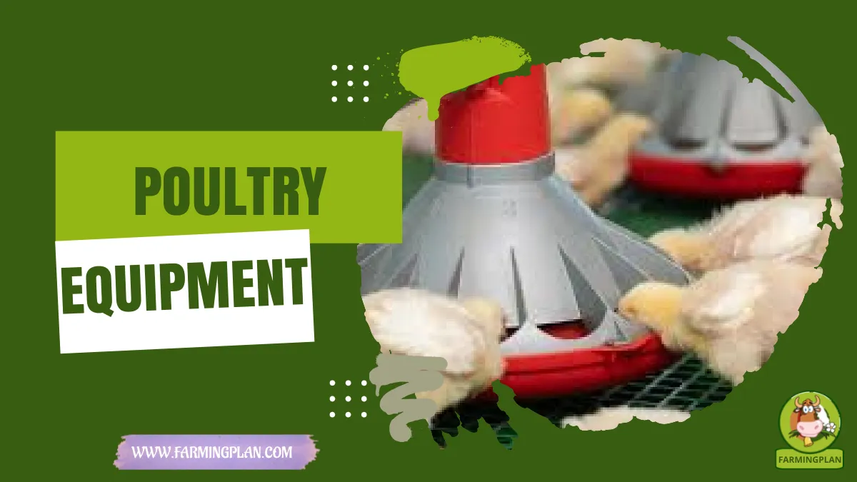 poultry equipment