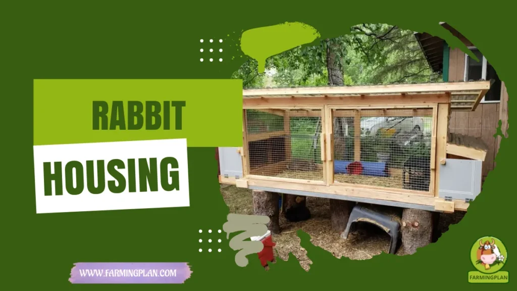 rabbit housing